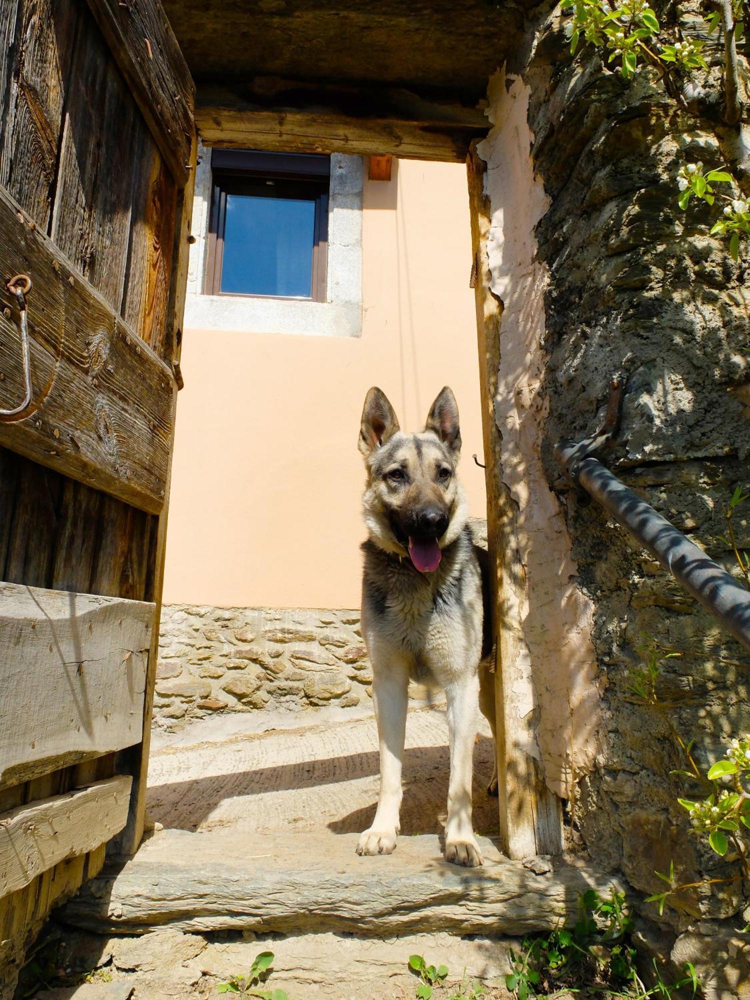 Cal Pascual Guest House Les Pereres Екстериор снимка