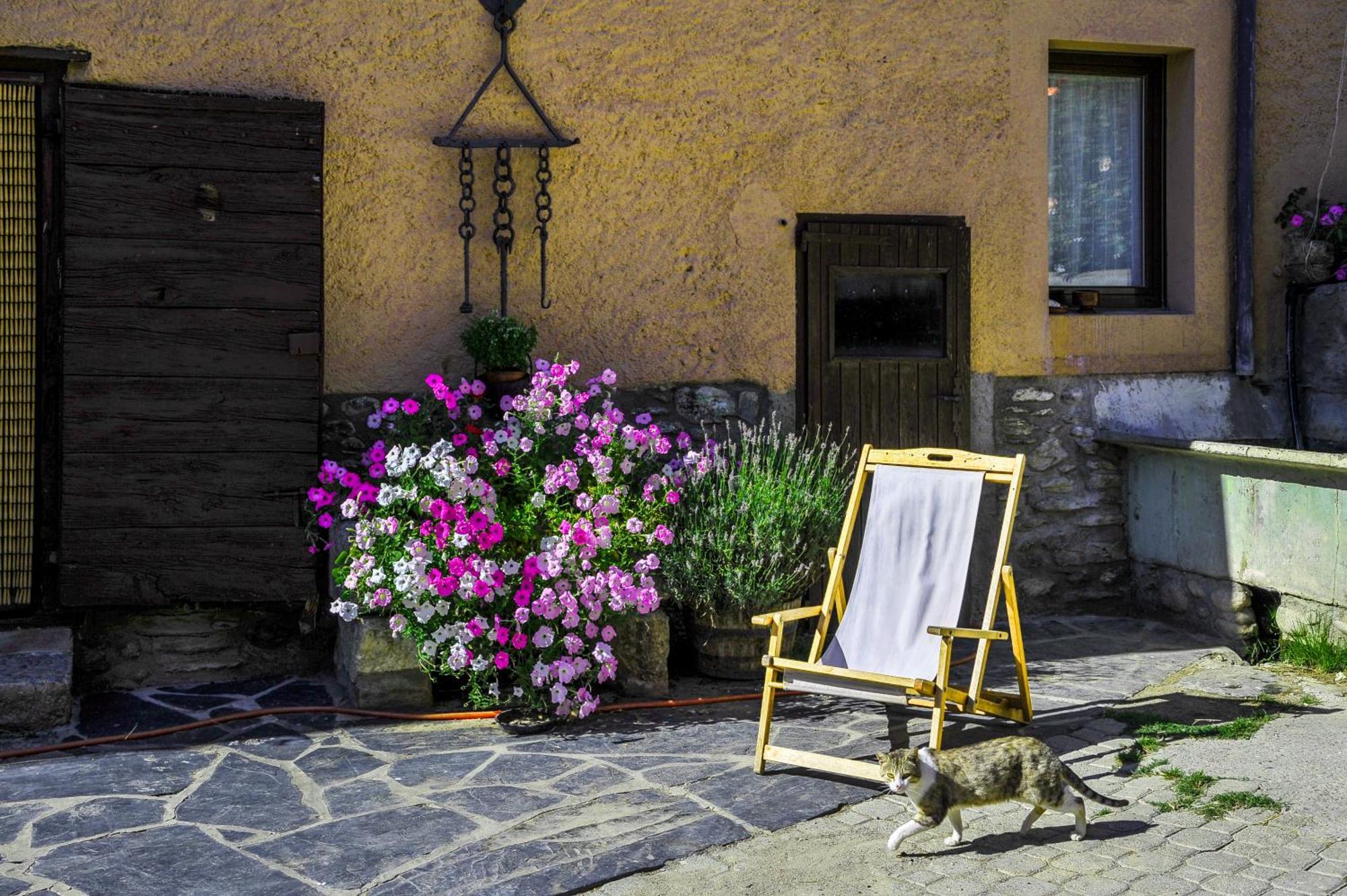 Cal Pascual Guest House Les Pereres Екстериор снимка